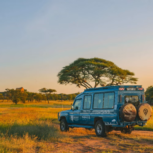 Kenya and Tanzania Overland Explorer Safari