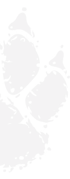 Frame 1618874544