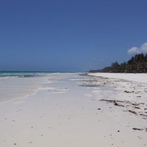 Diani Beach 02