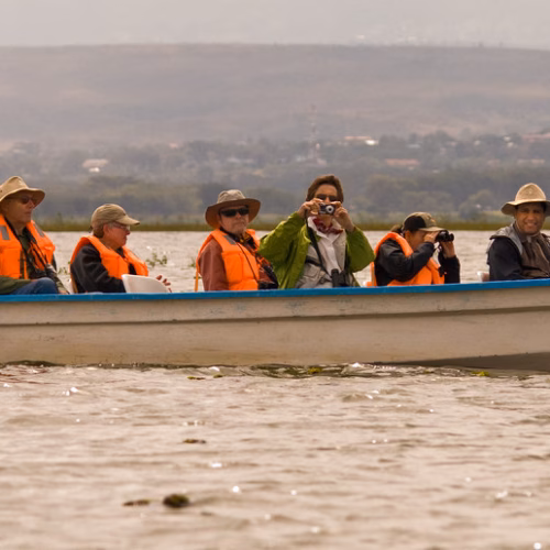 Lake Naivasha Boat Birding