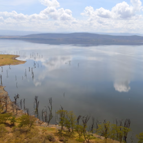 Lake Nakuru National Park