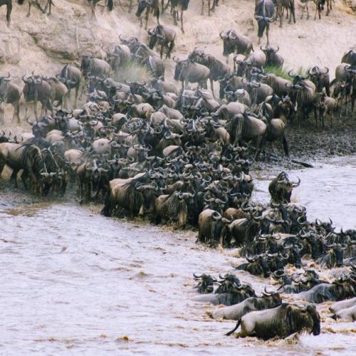 water nature kenya africa 3093341